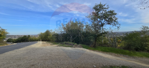 25.000 EUR