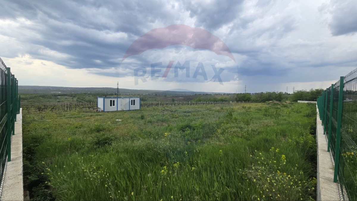 290.000 EUR