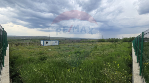 290.000 EUR