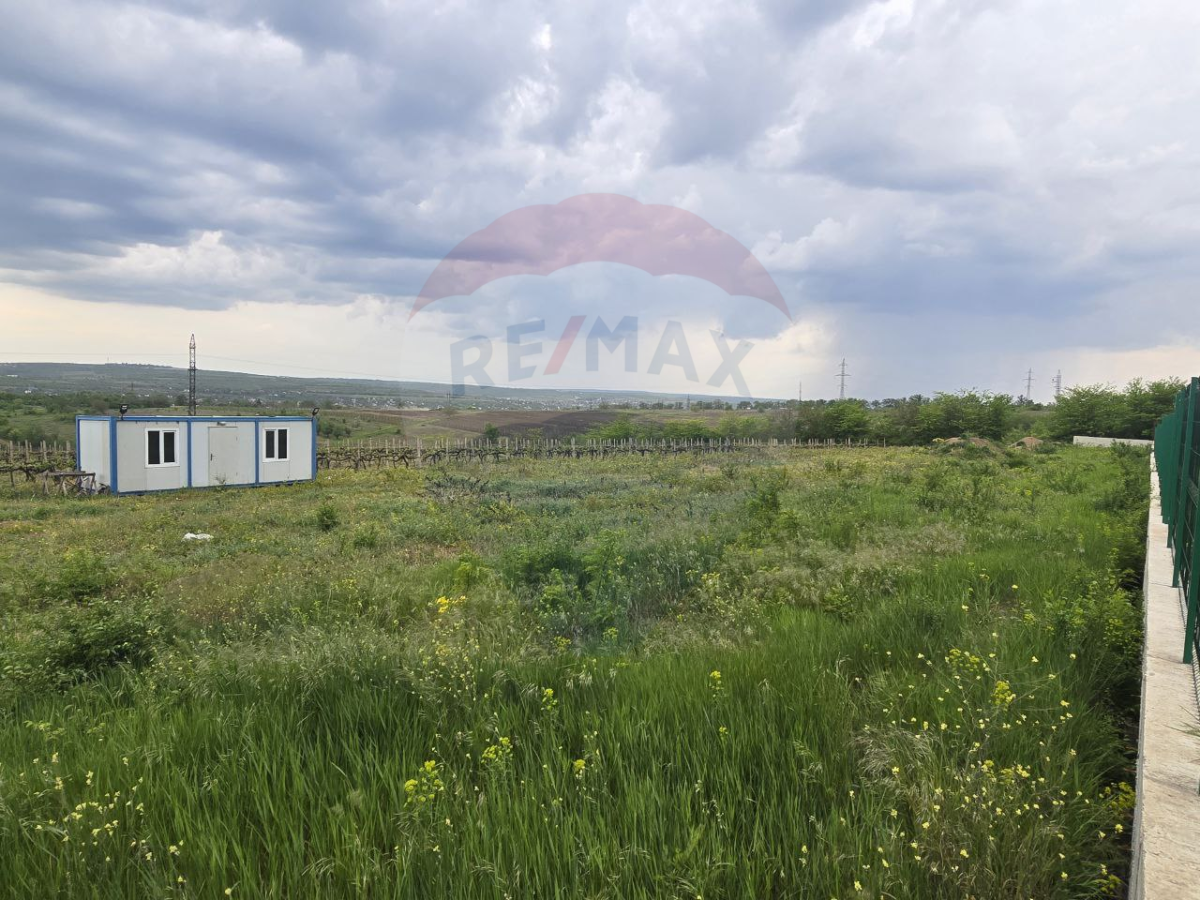 290.000 EUR