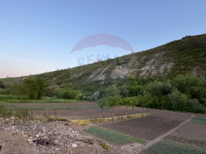 55.000 EUR