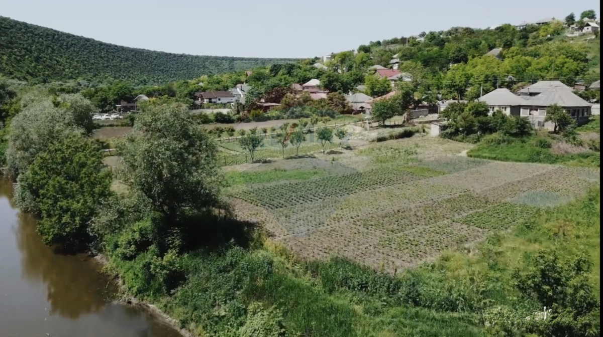 55.000 EUR