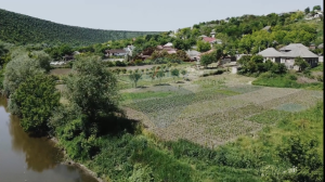 55.000 EUR