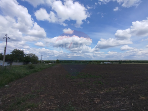 24.500 EUR