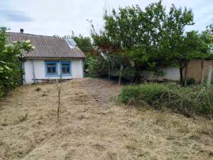 12.500 EUR
