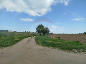51.000 EUR