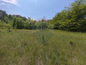 10.500 EUR