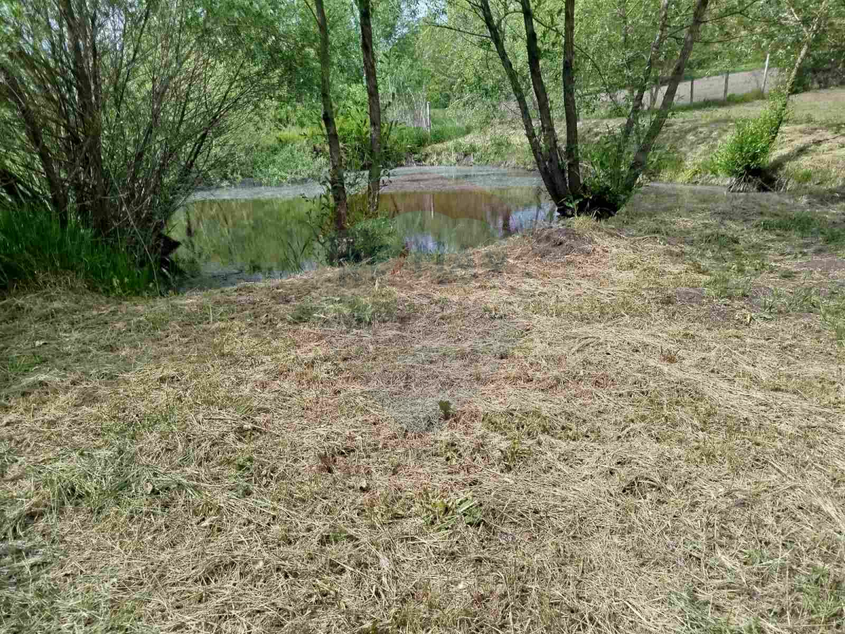 190.000 EUR