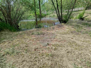 190.000 EUR