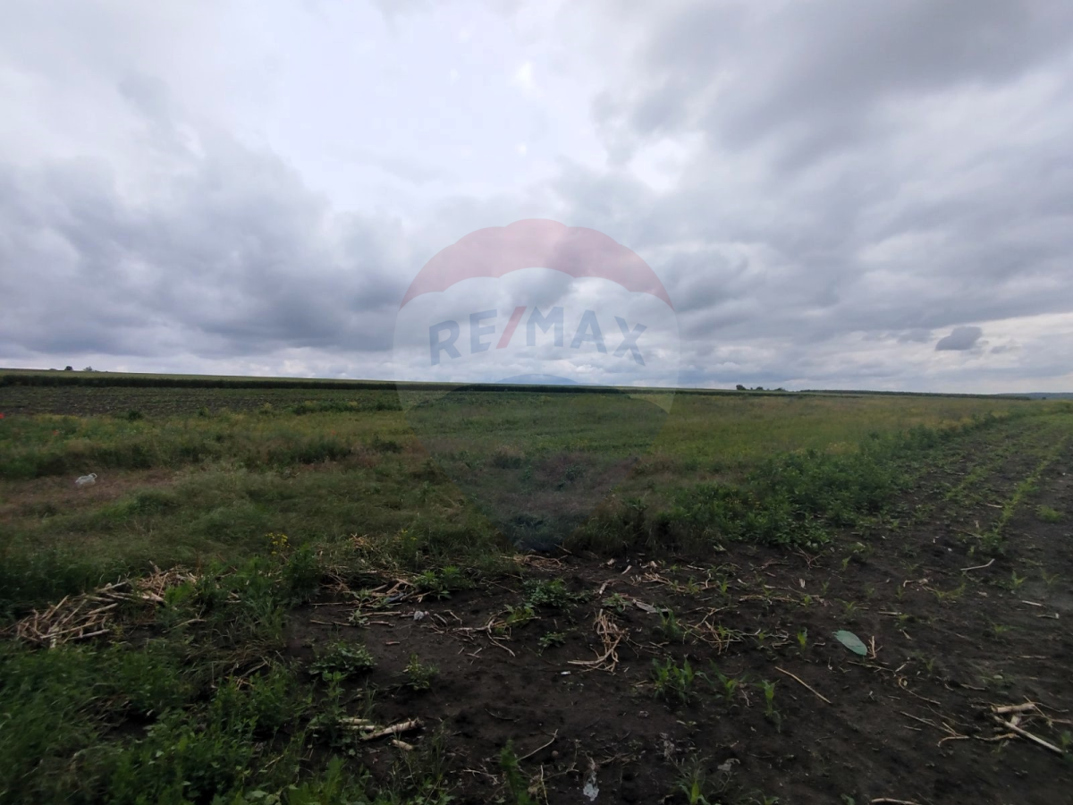 11.500 EUR