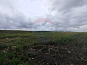 11.500 EUR