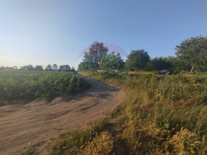 26.000 EUR