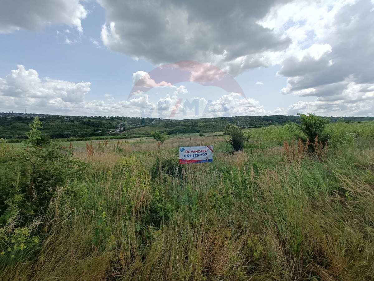 75.000 EUR