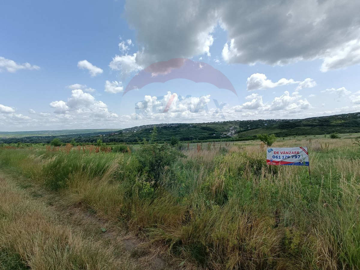 75.000 EUR
