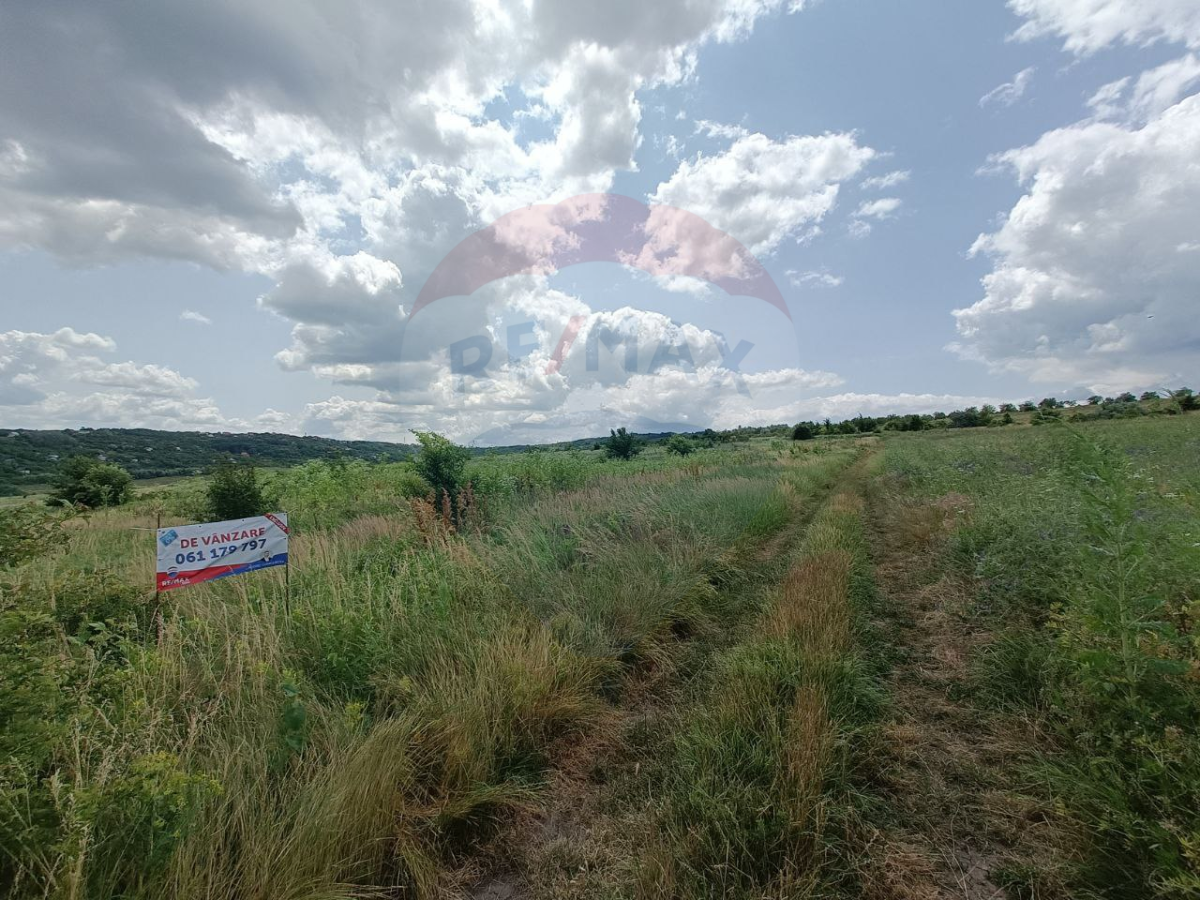 75.000 EUR