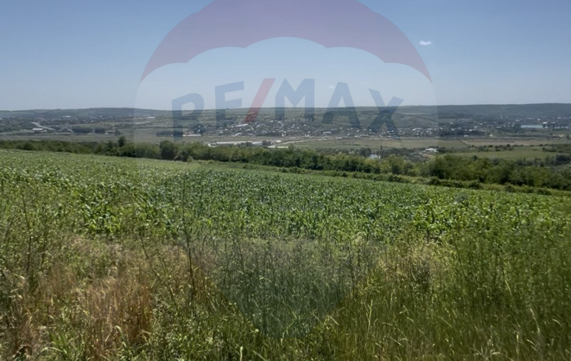 10.000 EUR