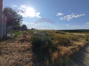 11.750 EUR