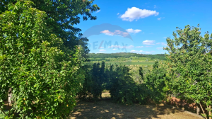 129.000 EUR