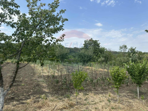 7.500 EUR
