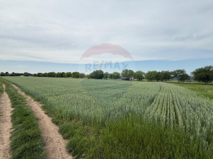 100.000 EUR