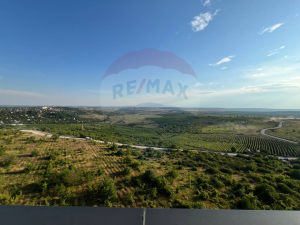 114.000 EUR