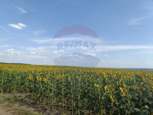 28.000 EUR