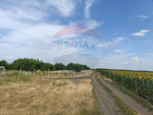 28.000 EUR