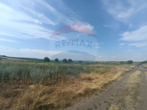 28.000 EUR