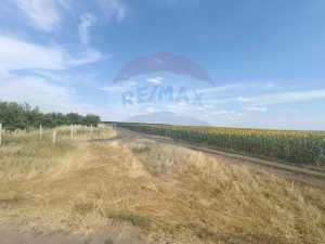 28.000 EUR