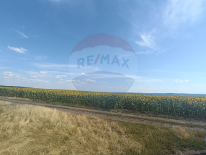 28.000 EUR