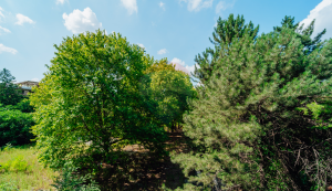 290.000 EUR