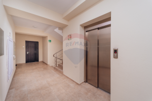 290.000 EUR