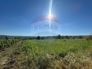 12.000 EUR