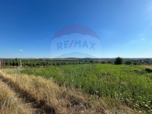 12.000 EUR