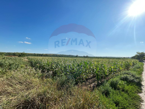 12.000 EUR