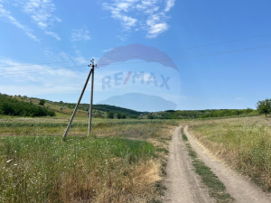 5.100 EUR