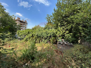 218.500 EUR