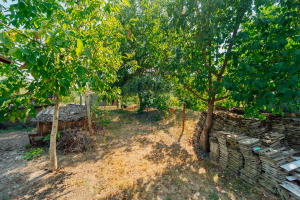 44.000 EUR