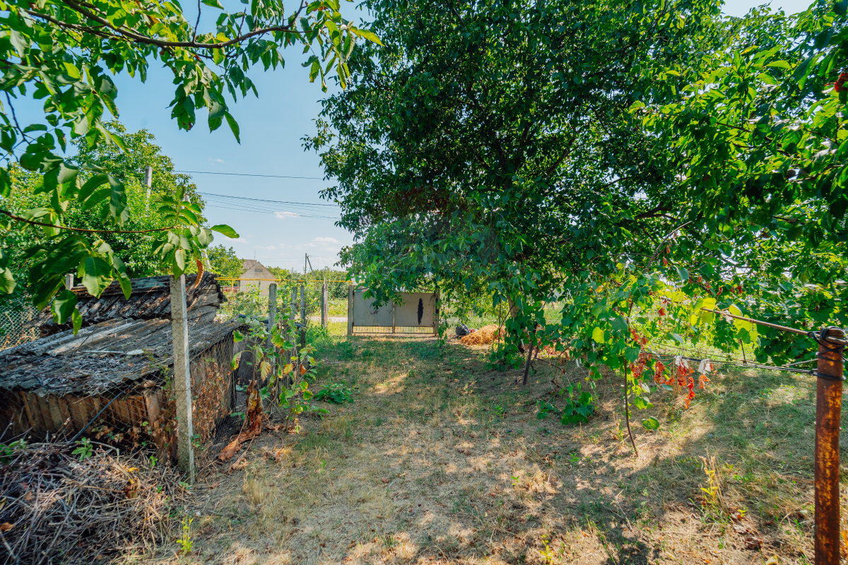 44.000 EUR
