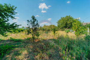 44.000 EUR