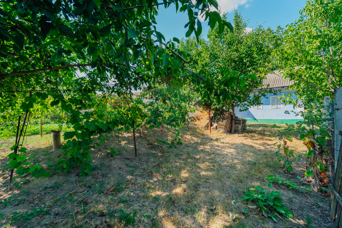44.000 EUR