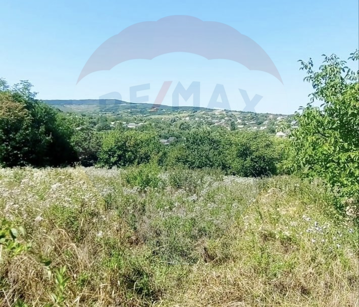 19.000 EUR