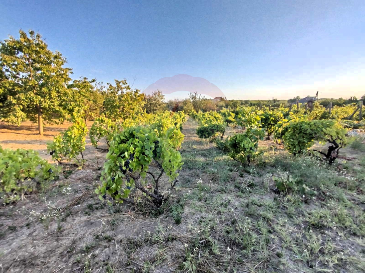 21.000 EUR