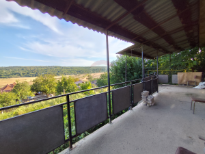 19.900 EUR