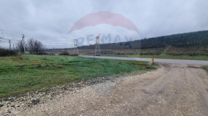 75.000 EUR