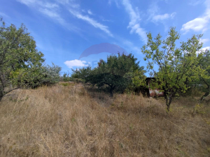 6.800 EUR