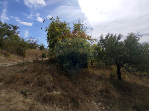 6.800 EUR