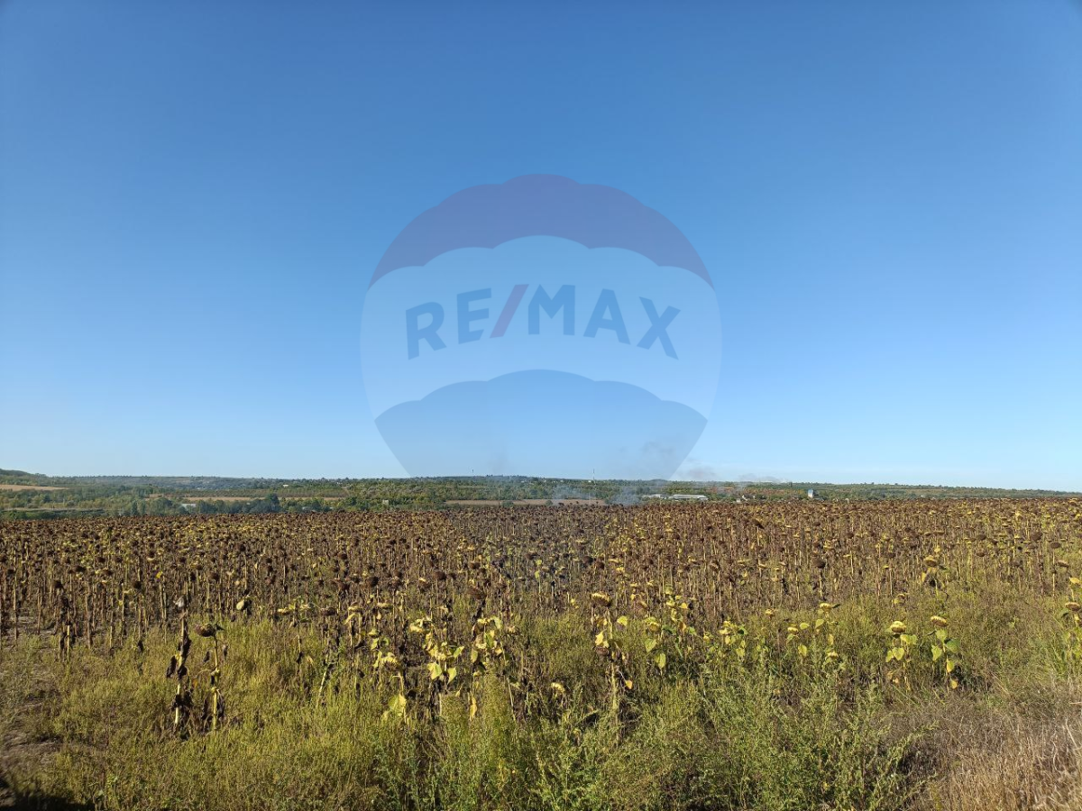 43.000 EUR