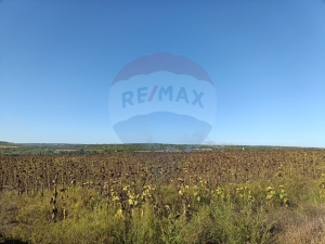 43.000 EUR