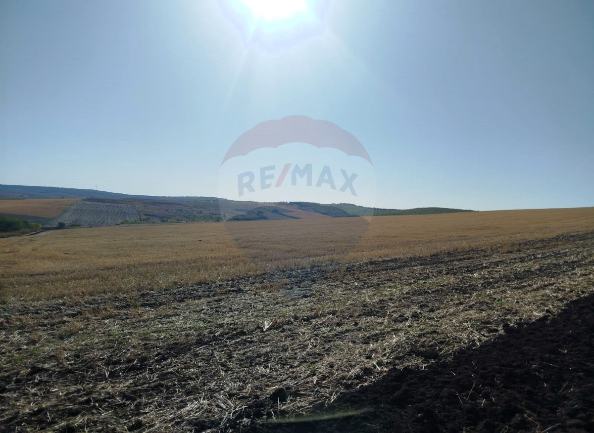 31.000 EUR
